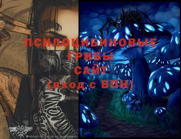 a pvp Богданович