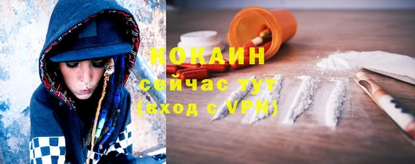 хмурый Богородицк