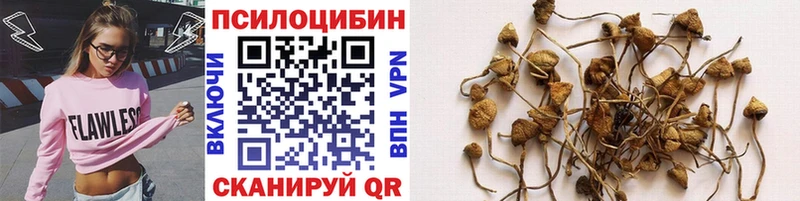Галлюциногенные грибы Cubensis  Жирновск 
